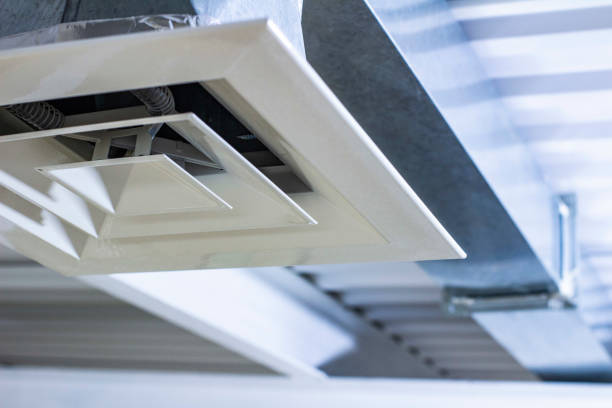 Best Local Air Duct Cleaning Services  in Southern View, IL