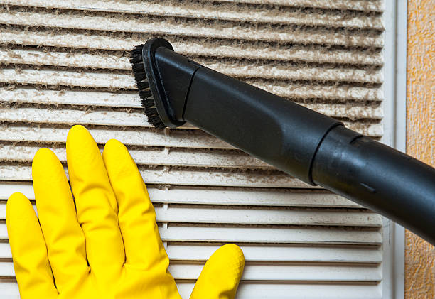 Best Affordable HVAC Duct Cleaning  in Southern View, IL