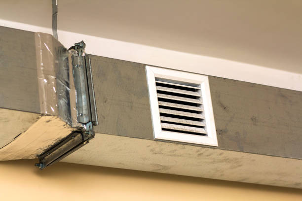 Best Local Air Duct Cleaning Services  in Southern View, IL